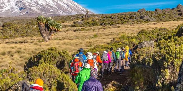 7 Days Machame Route