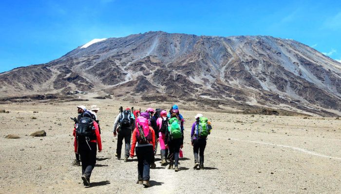 Kilimanjaro Umbwe Route