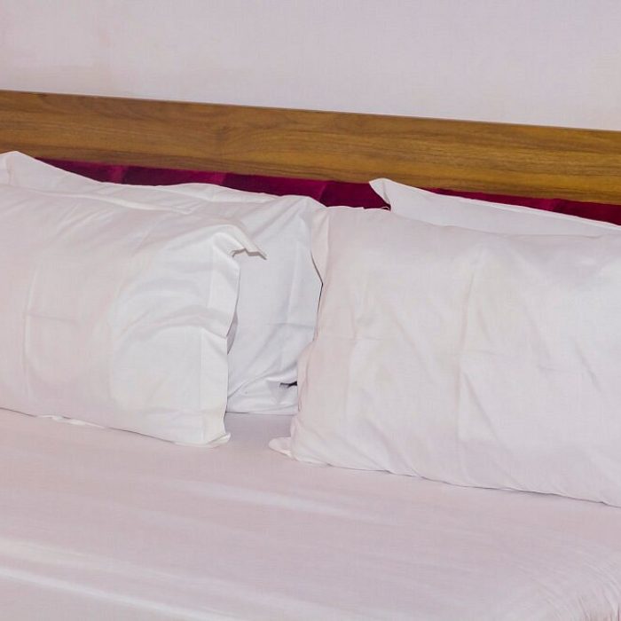 Mkomazi Hotels and Campsite ROOM