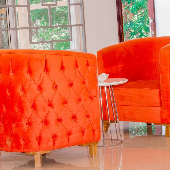 Mkomazi Hotels and CampsiteS