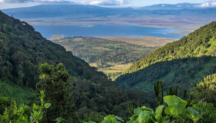 Ngorongoro Crater