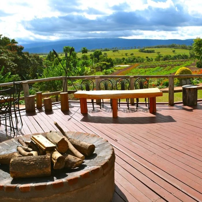 Ngorongoro Farm