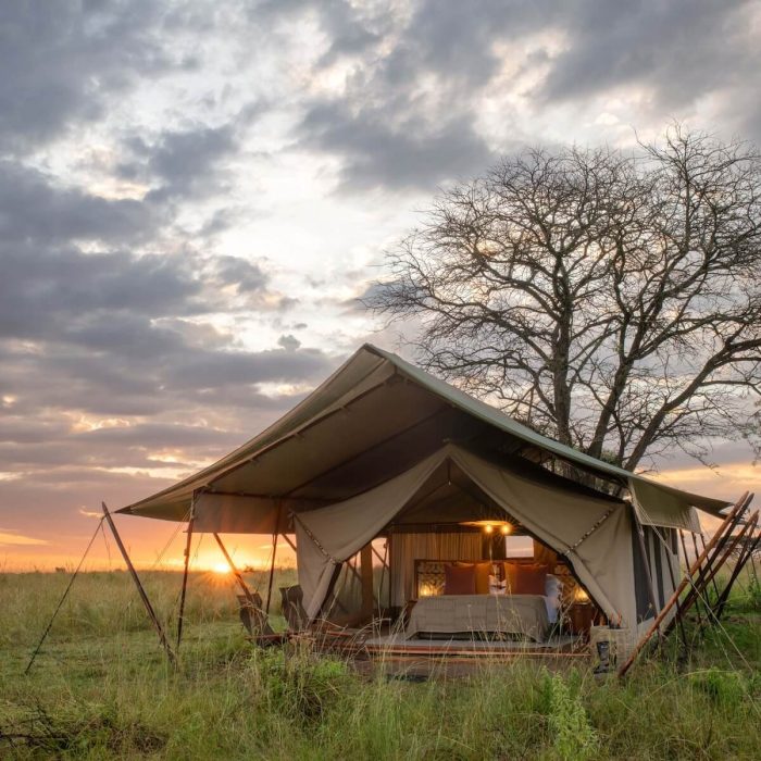 TAASA Migration Camp (1)