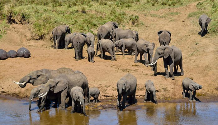 Tarangire National Park safari