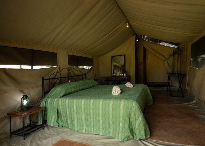 bed Katikati camp