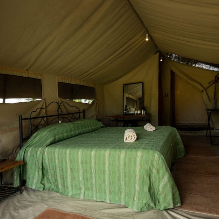 bed Katikati camp