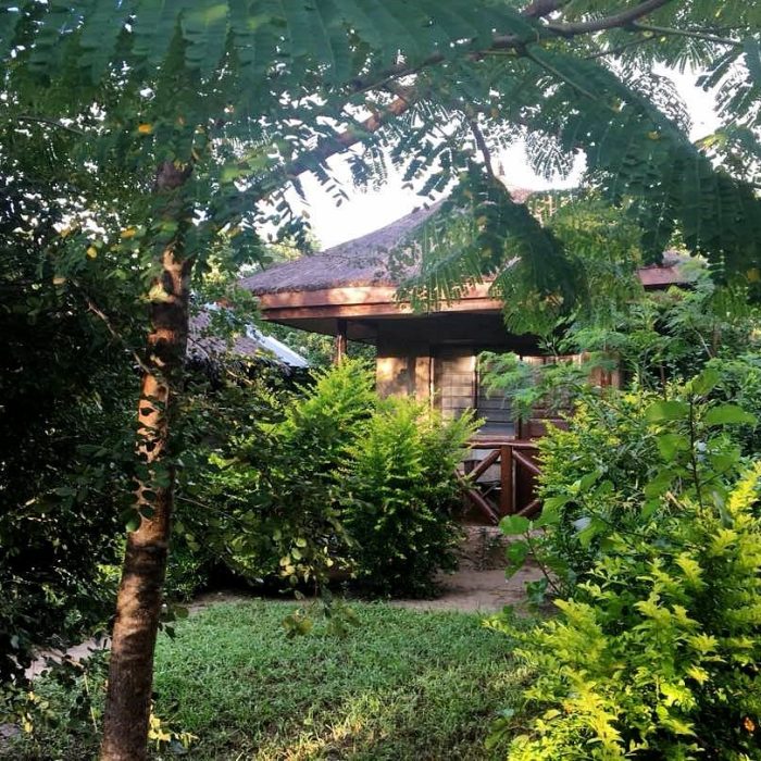 camp-bastian-mikumi guarden