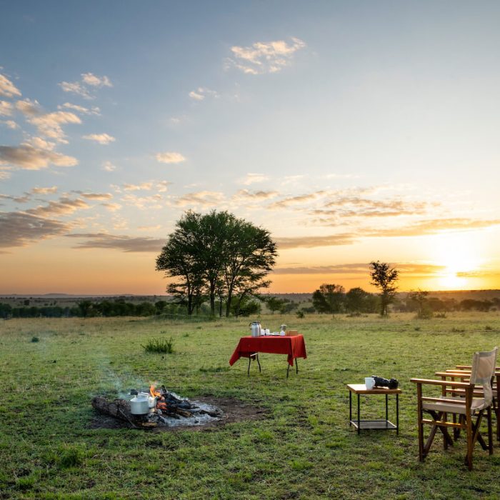 katikati serengeti