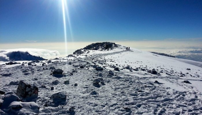 lemosho route kilimanjaro