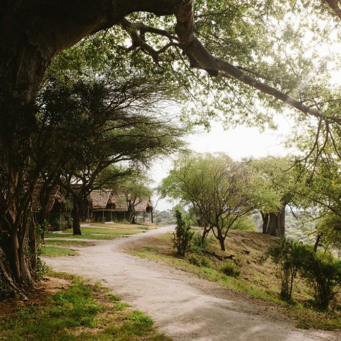 lodge tarangire