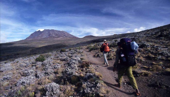 marangu trekking