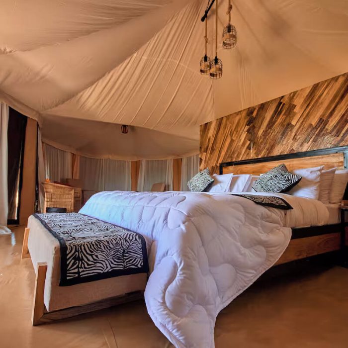 moyo serengeti tent