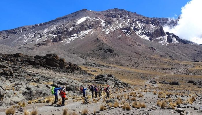 rongai route kilimanjaro