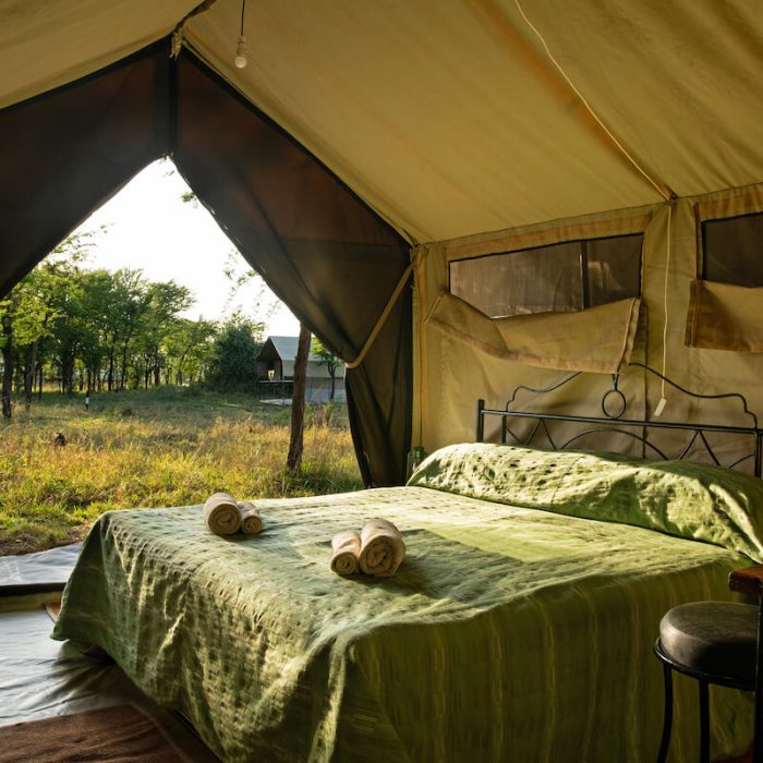 room katikati camp