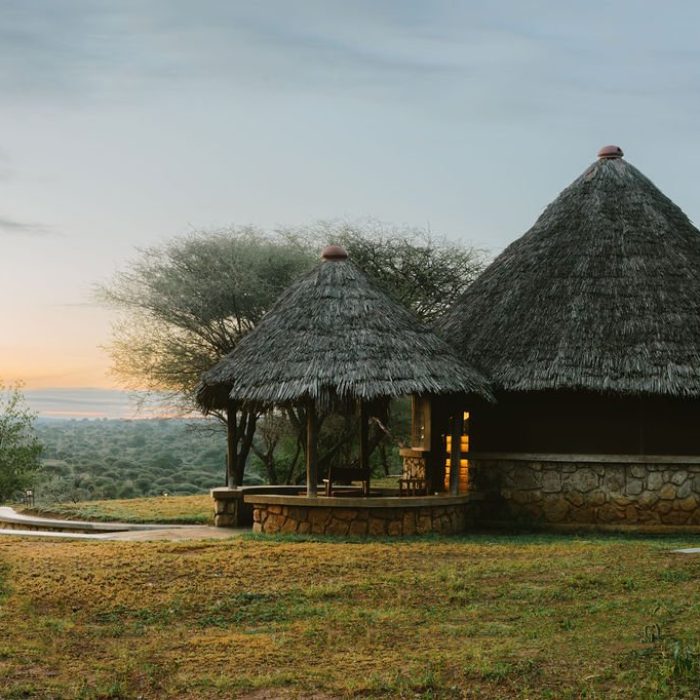 safari lodge 3