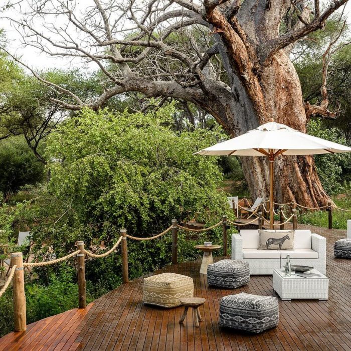 sanctuary-swala tarangire