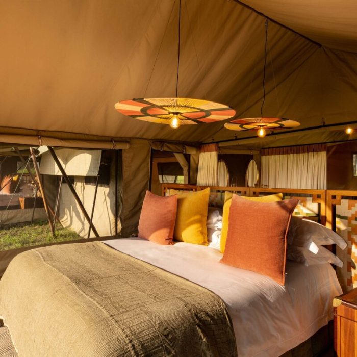 taasa_migration_camp