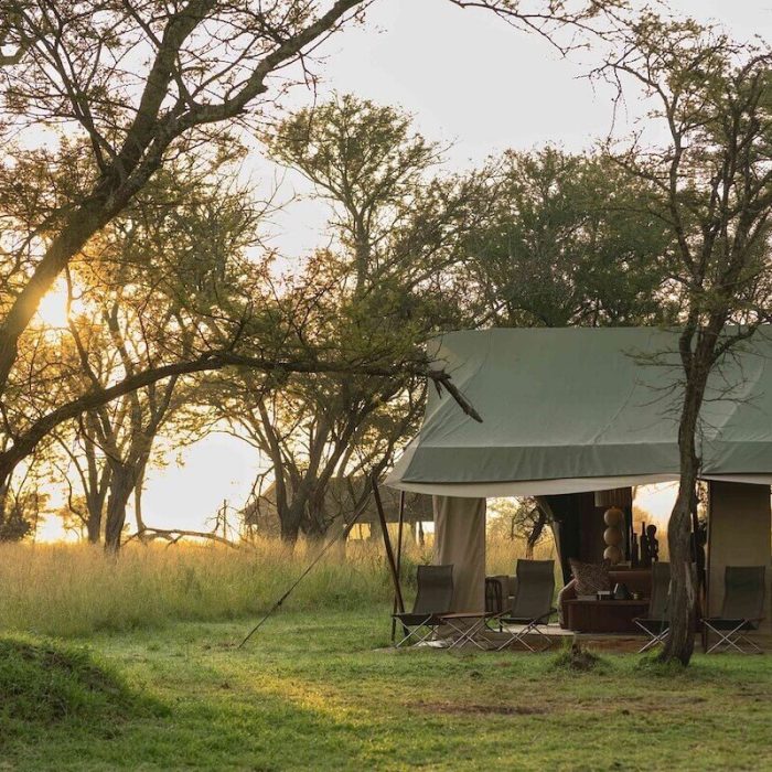 tented camp taasa (1)