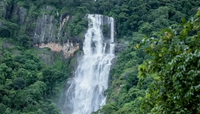 udzungwa mountain