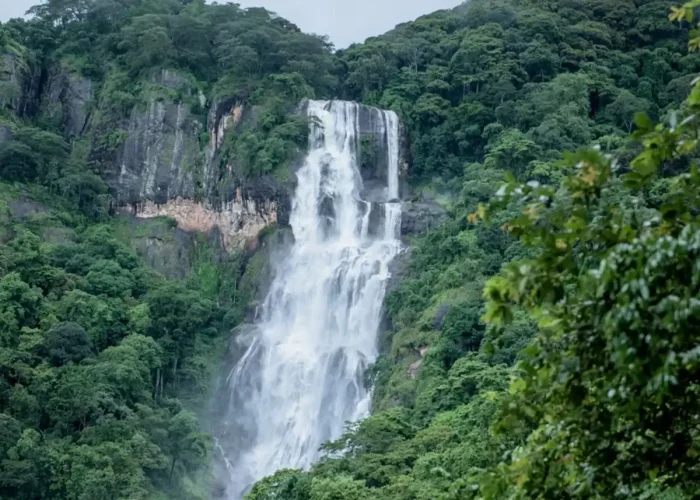 udzungwa mountain