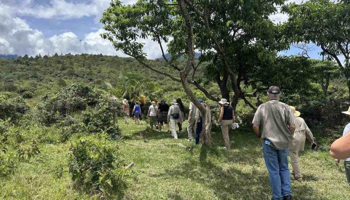 walking arusha park